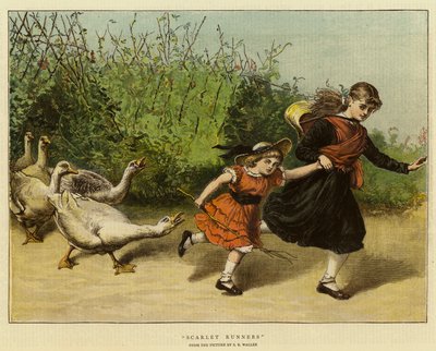 猩红色的跑步者 作者 塞缪尔·埃德蒙·沃勒